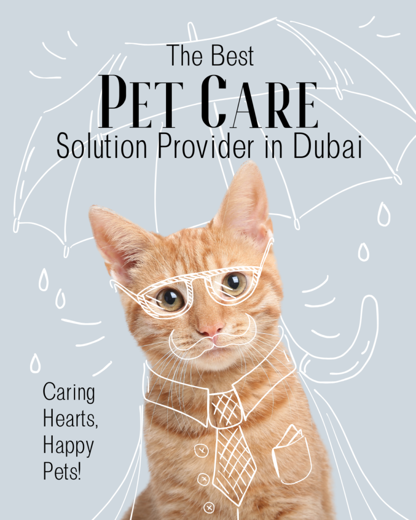 Pet Sitter Dubai Services