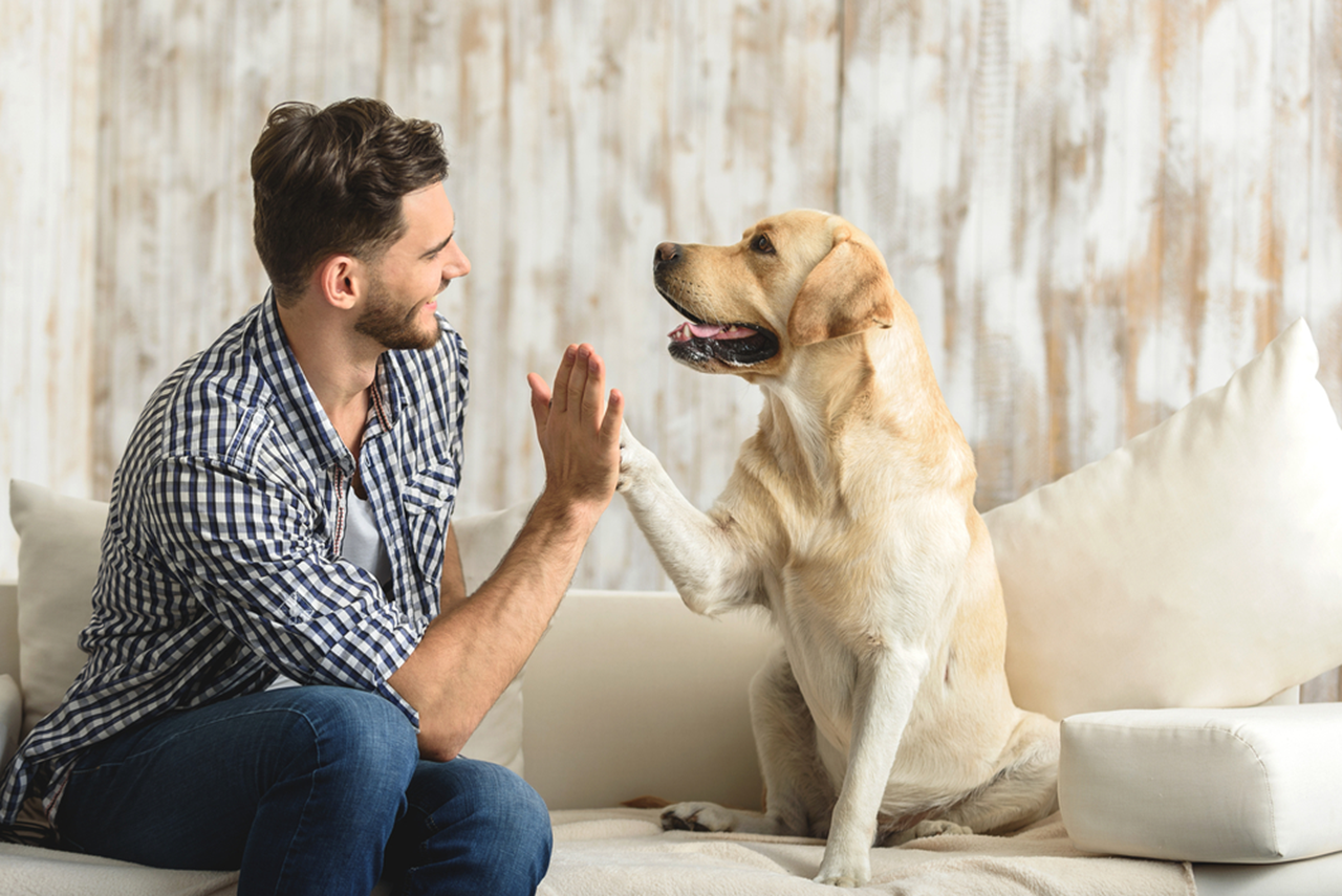 Proven Ways to Keep your Pet Healthy and Happy